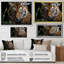 Portrait de tigre brun - art mural tigre-520422831-520422866