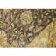 Wool Oriental Area Rug in Gold