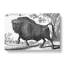 Buffalo by Thomas Astley - Wrapped Canvas Print-55362353