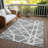 Machine Washable Indoor/Outdoor Chayden ACN1040 Rug-475337173