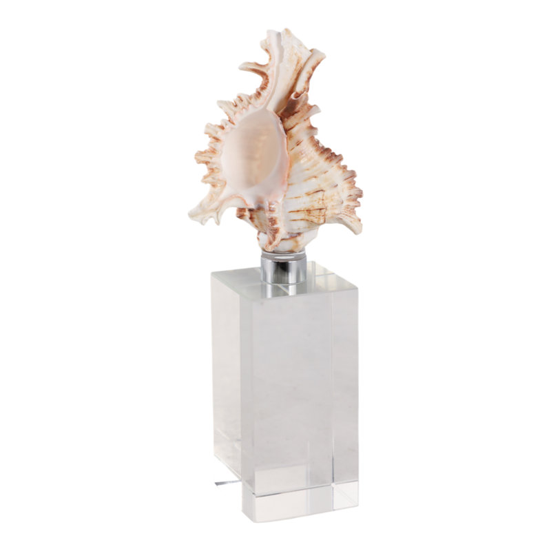 Figurine Oakden Coastal Seashell Sculpture, H 8 po x l 3 po x P 3 po