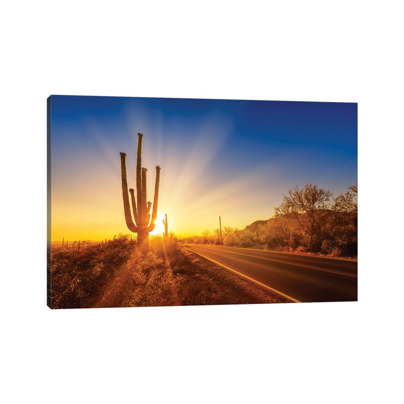Saguaro National Park Setting Sun by Melanie Viola - Wrapped Canvas Print, 101.6 cm H x 66.04 cm W x 1.91 cm D