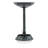 Ringo Plastic/Acrylic Birdbath
