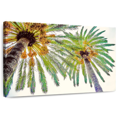 Harnek Chic Palms II