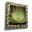  «Tropic Collection 3» par Alonzo Saunders, art mural sur toile, 26 po x 26 po-1199836739