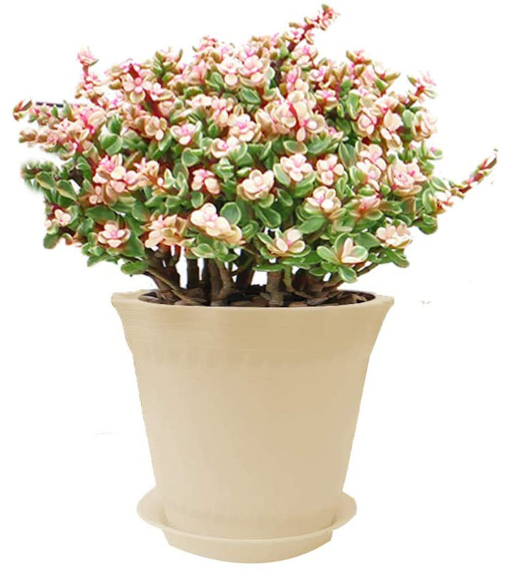 Pot à fleurs en métal avec treillis
