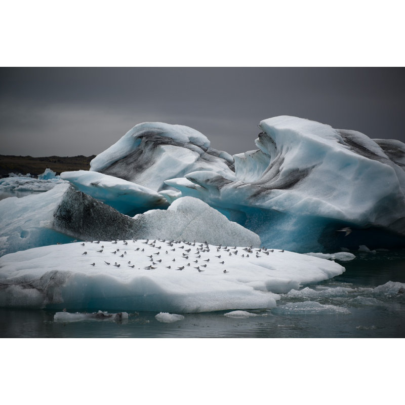 Wrapped Canvas Print, 50.8 cm H x 76.2 cm W