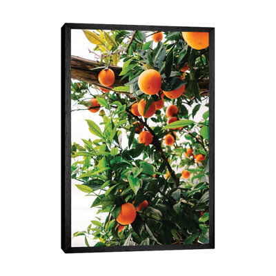 Amalfi Coast Oranges II by Bethany Young - Print on Canvas