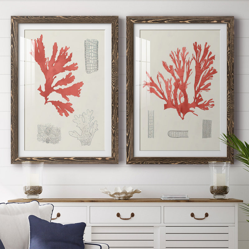«Vintage Coral Study III», reproduction encadrée de qualité supérieure - prête à accrocher, H 27,5 po x l 75 po x P 1,5 po