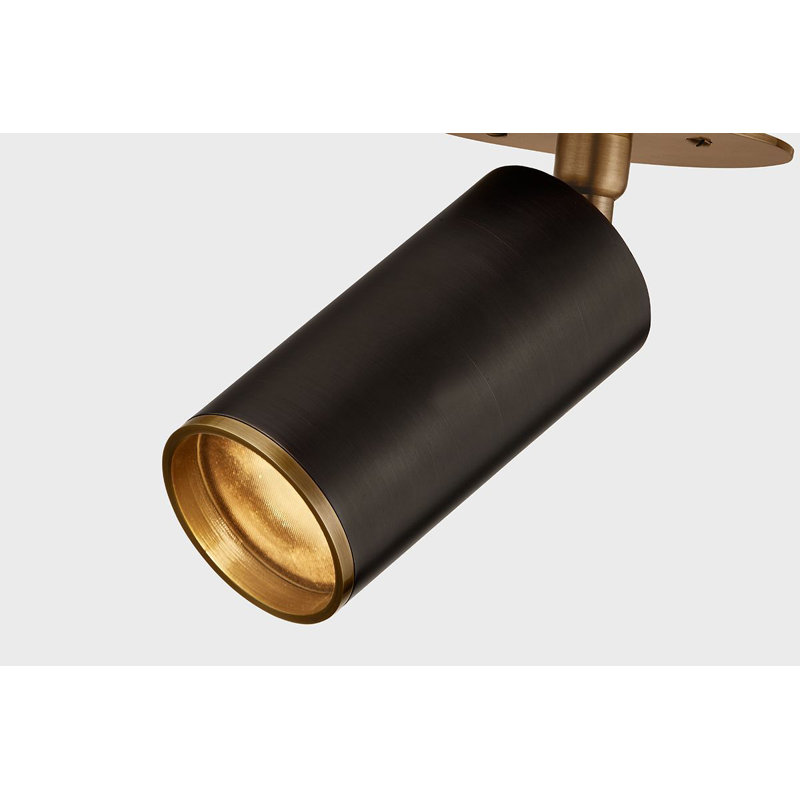 Caleb 1 Light Flush Mount