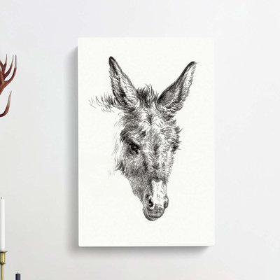 The Sketch Of A Donkey by Jean Bernard - Wrapped Canvas Print