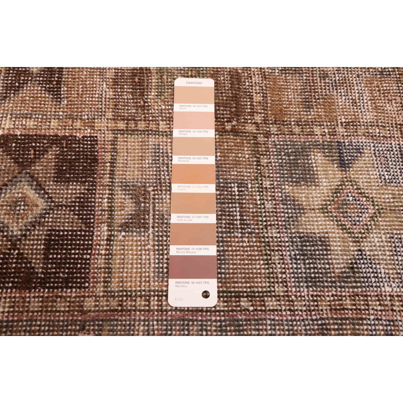 Tapis brun Antalya Vintage 4 pi 5 po x 8 pi 10 po