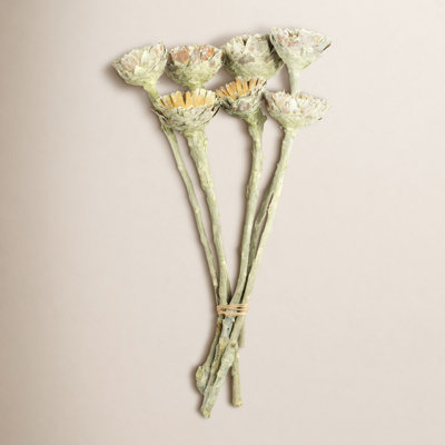 Dried Basil Rosette Stems