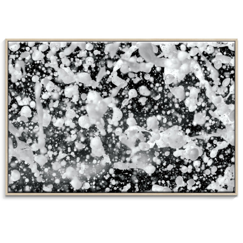 Sticks - Print on Canvas, 102cm H x 152cm W, Timber Floater Frame