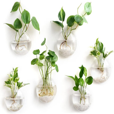 Set Of 6 Round Wall Hanging Glass Planters, Propagation Station Vases With Hangers, Terrarium Or Hydroponic Planter Pots For Indoor Decor