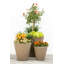 Pot à fleurs intérieur / extérieur auto-arrosant-17023417-17049372