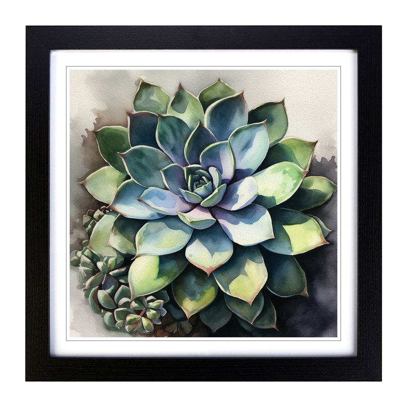 Succulent Watercolour No.2 - Framed Print, Black