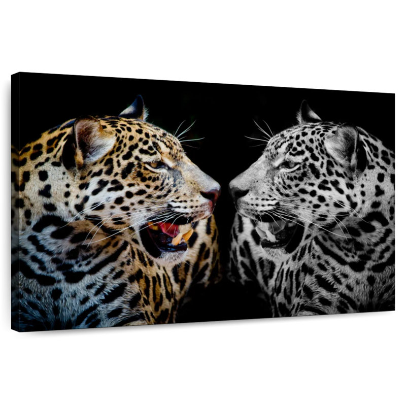 Jaguar Reflection, 8" H x 12" W