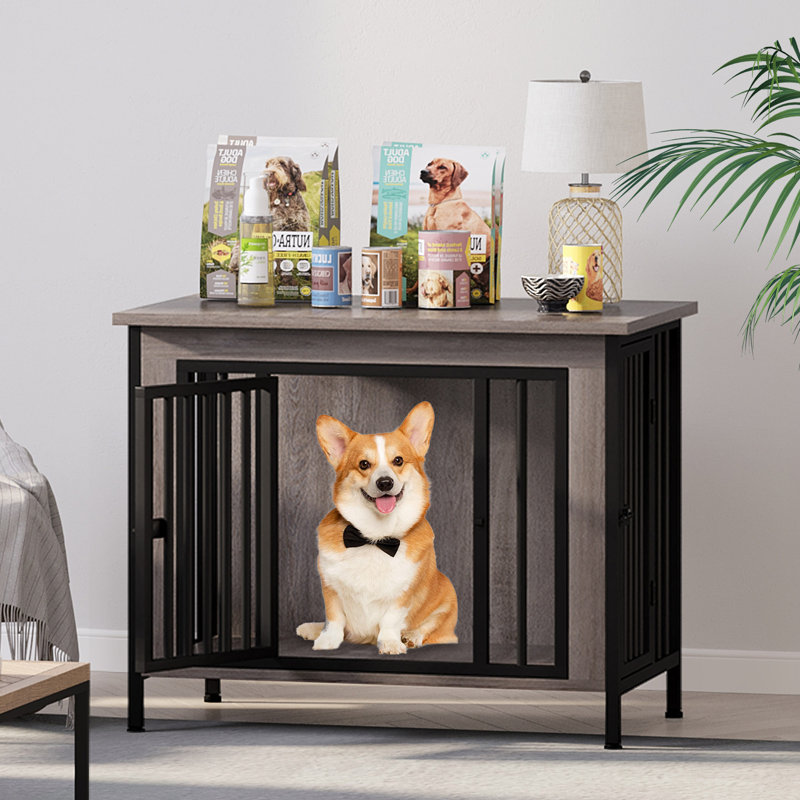 Cage pour animaux de grande taille avec séparateur, H 27,9 po x l 31,5 po x P 22,4 po, Gris
