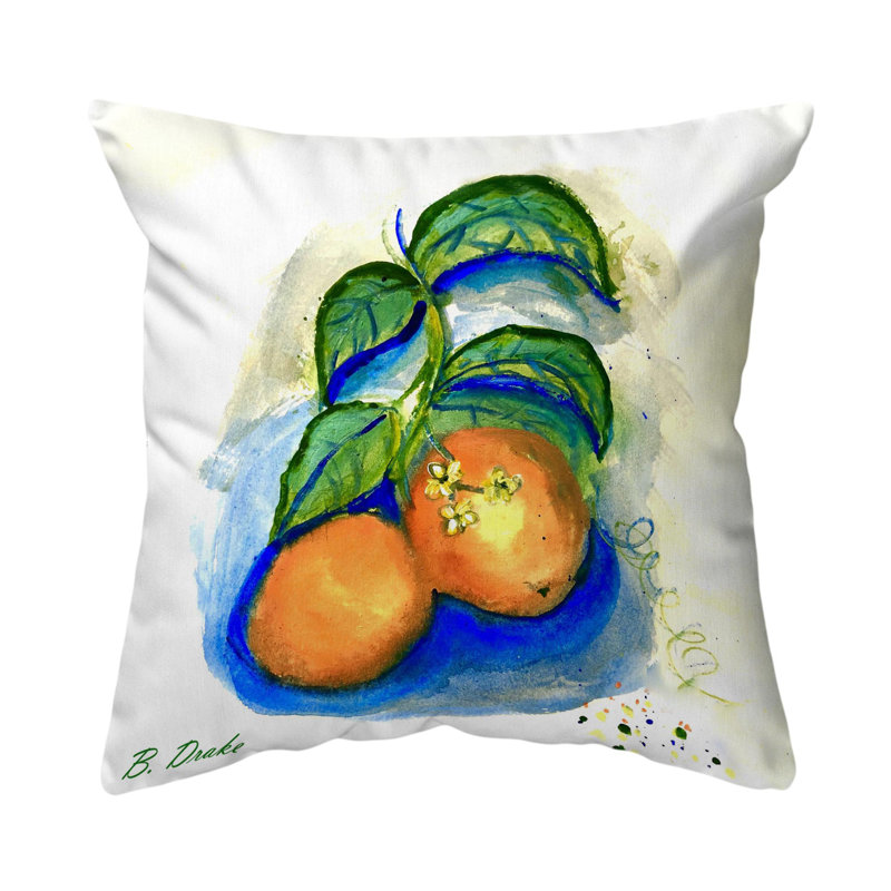  Housse et insert de coussin extérieur d'extérieur, 18 po x 18 po