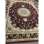 Infinity Oriental Area Rug in Burgundy/Beige