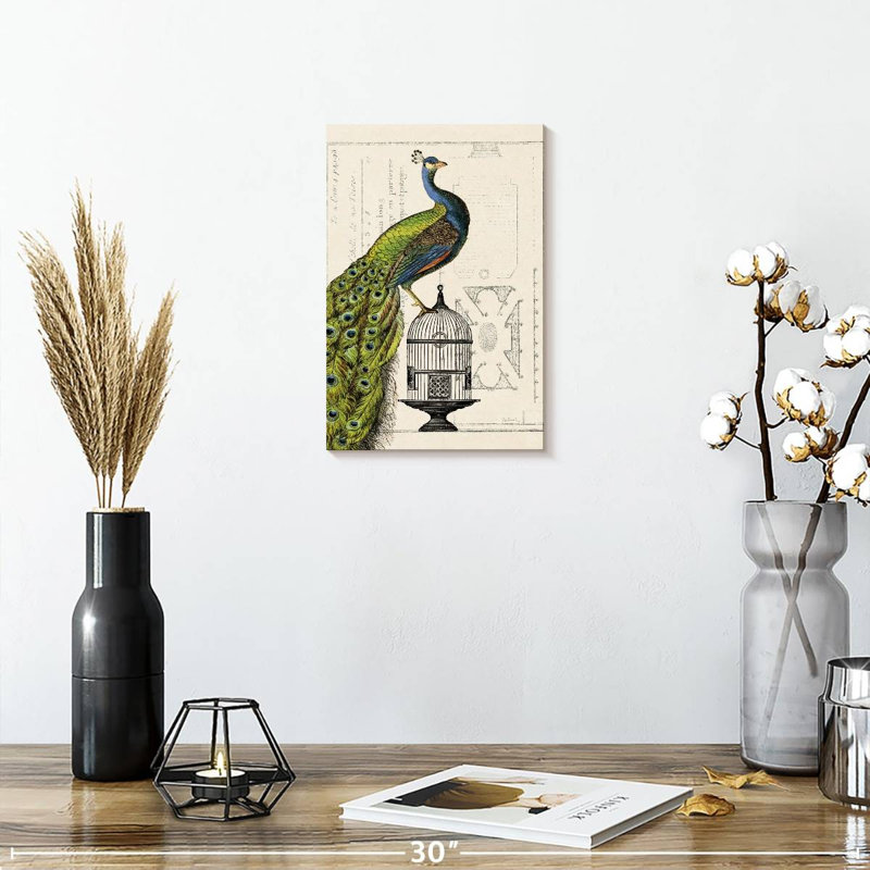Brampt Peacock Birdcage I, 12" H x 8" W