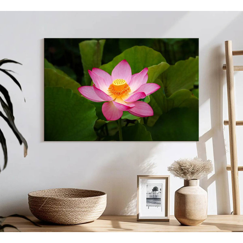 Fresh Lotus Flower, 8" H x 12" W
