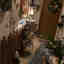 Photos des clients 1 de 2