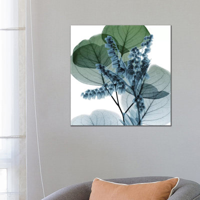 Lilly Of Eucalyptus II by Albert Koetsier - Wrapped Canvas Painting