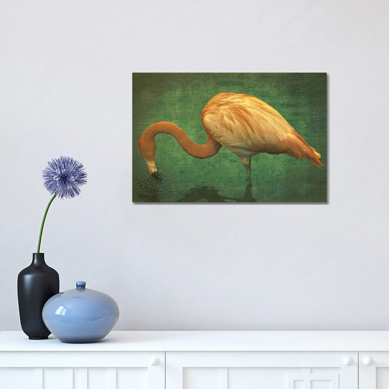 Caribbean Flamingo - Wrapped Canvas Print, 30.48 cm H x 45.72 cm W