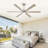 Lofties 66'' Ceiling Fan with LED Lights-261454273