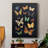 " Collected Flutter III "-1770797083-1770797086