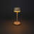 Lyon Cordless Table Lamp - USB Rechargeable, RGB Dimmable LED, Elegant Design-110764324