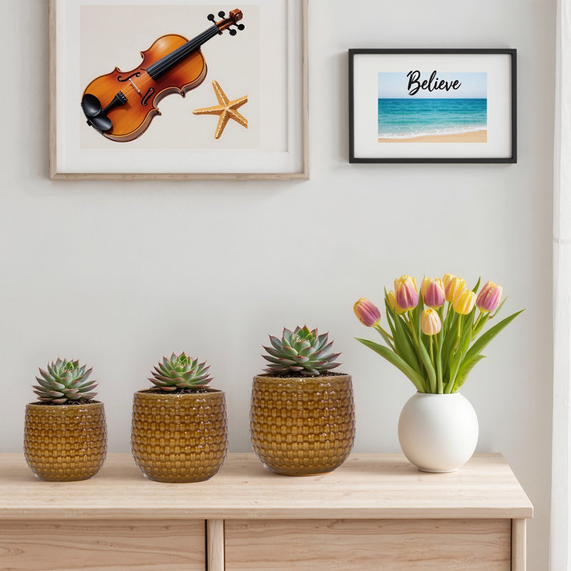 Ensemble de 3 pots de fleurs décoratifs en céramique pour l'intérieur et l'extérieur avec trou de drainage 9 po, Marron foncé
