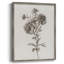 Impression florale vintage encadrée CECXVII - bois massif-984505762