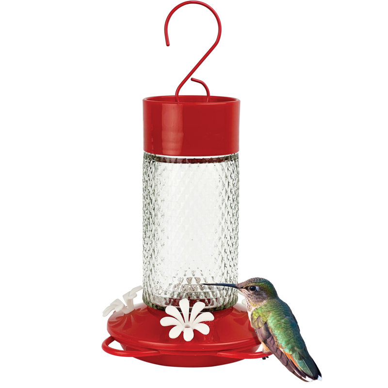 Gravity Hummingbird Feeder – Charming Cherry