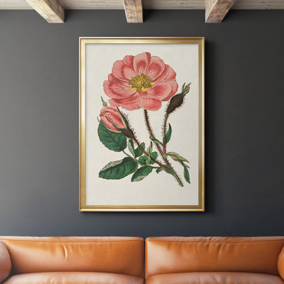 «Pink Floral Mix», reproduction encadrée sur papier