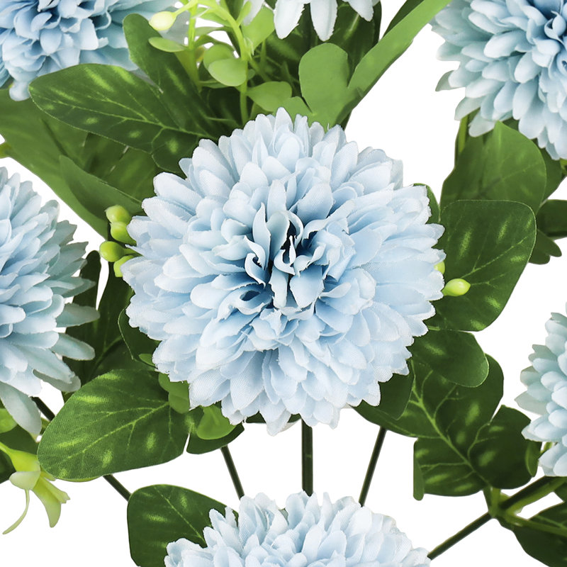 Pom Pom Mum Flower, Bleu clair