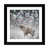 Black Framed Paper is unavailable