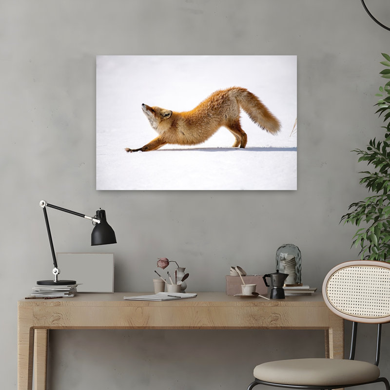 «Red Fox Stretching Peaceful Playful Serene Fox Landscape Nature», reproduction d'art murale, 16" H x 24" W