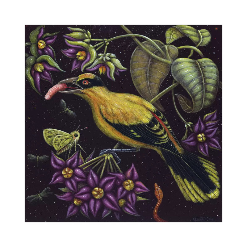 Birdfinger by R.S. Connett - Wrapped Canvas Print