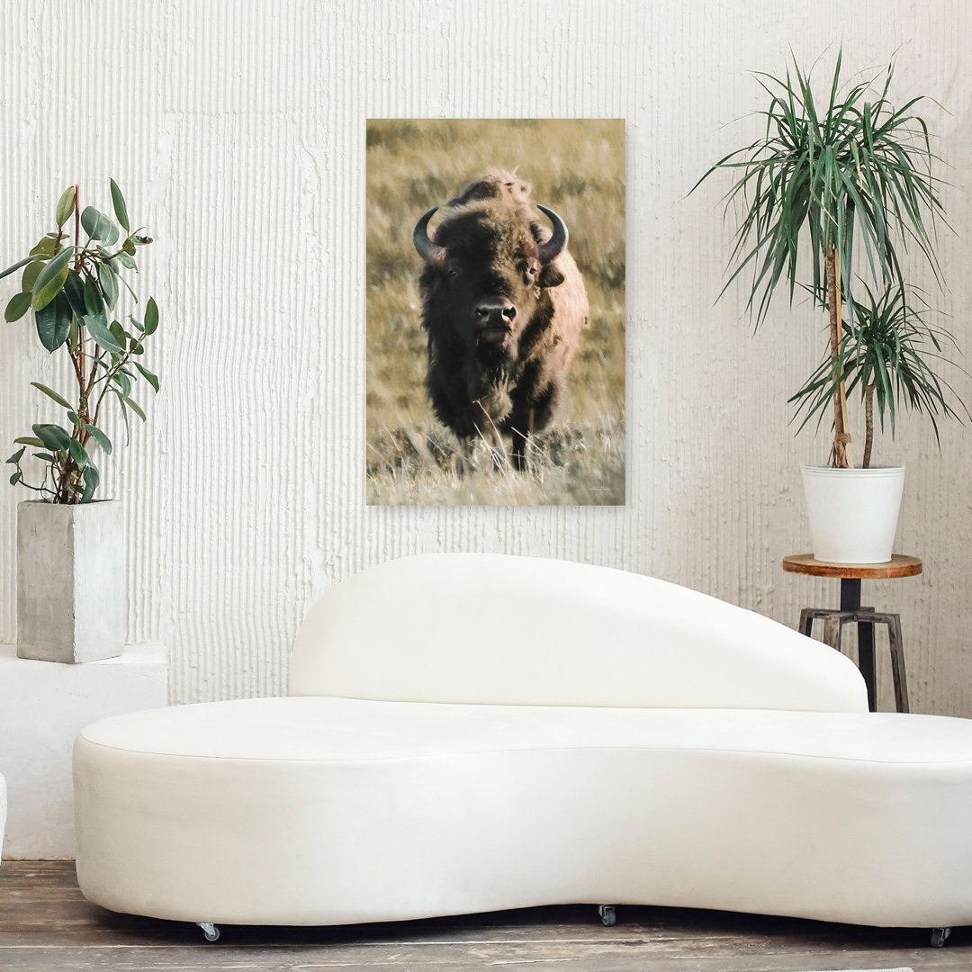 Yellowstone Bison Contemporary Bison Portrait Wall Art Print