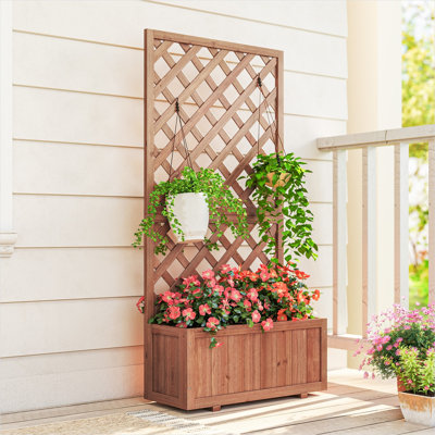 Lit de jardin surélevé classique en bois de sapin orange avec treillis, L 28,5 po x l 12,5 po x H 58,75 po