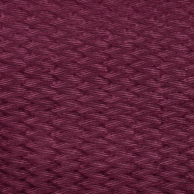 Tempo Velvets Fabric