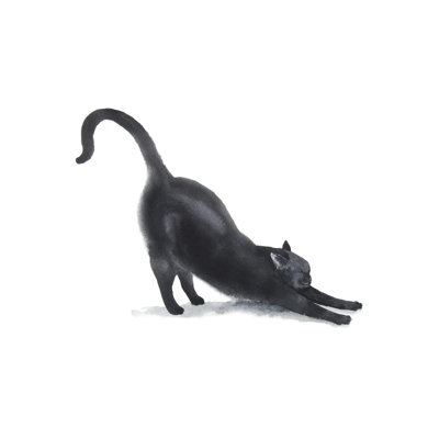 Yoga Black Cat II by Alexey Dmitrievich Shmyrov - Wrapped Canvas Print