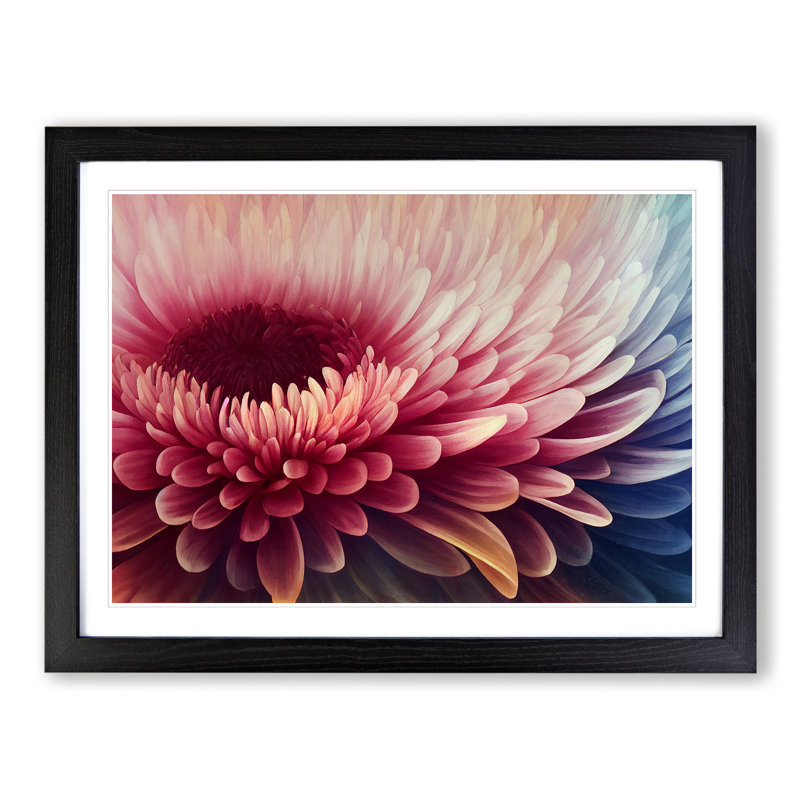 Chrysanthemum Flower Vol.3 - Single Picture Frame Print, Black Framed, 25cm H x 34cm W x 2cm D