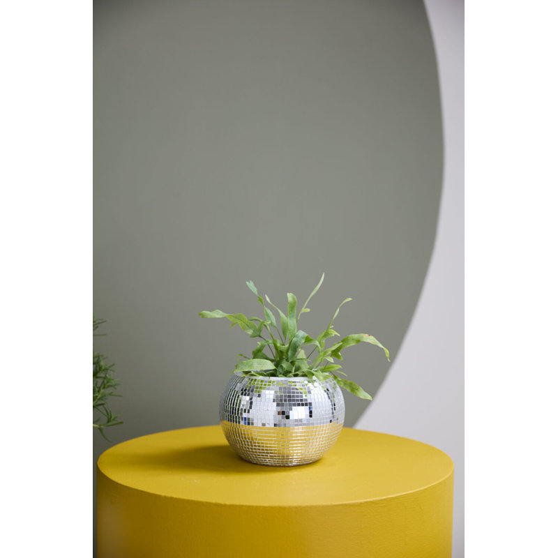 Braeden Disco Pot, 6.5"x 4.75"