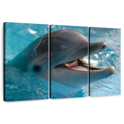 Brampt Delighted Dolphin