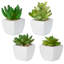 8.3cm Faux Succulent Plant in Ceramic Planter