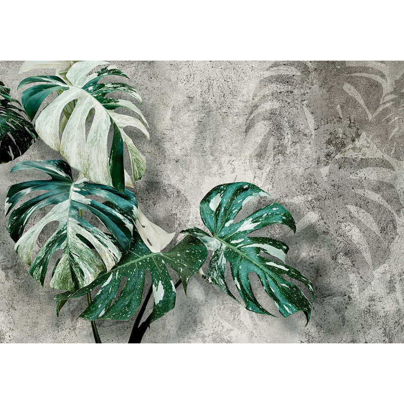 Murale botanique pelez et collez - Monstera moderne, L 41 po x l 57 po